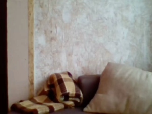 maksls 11-05-2020  Recorded Video Free
