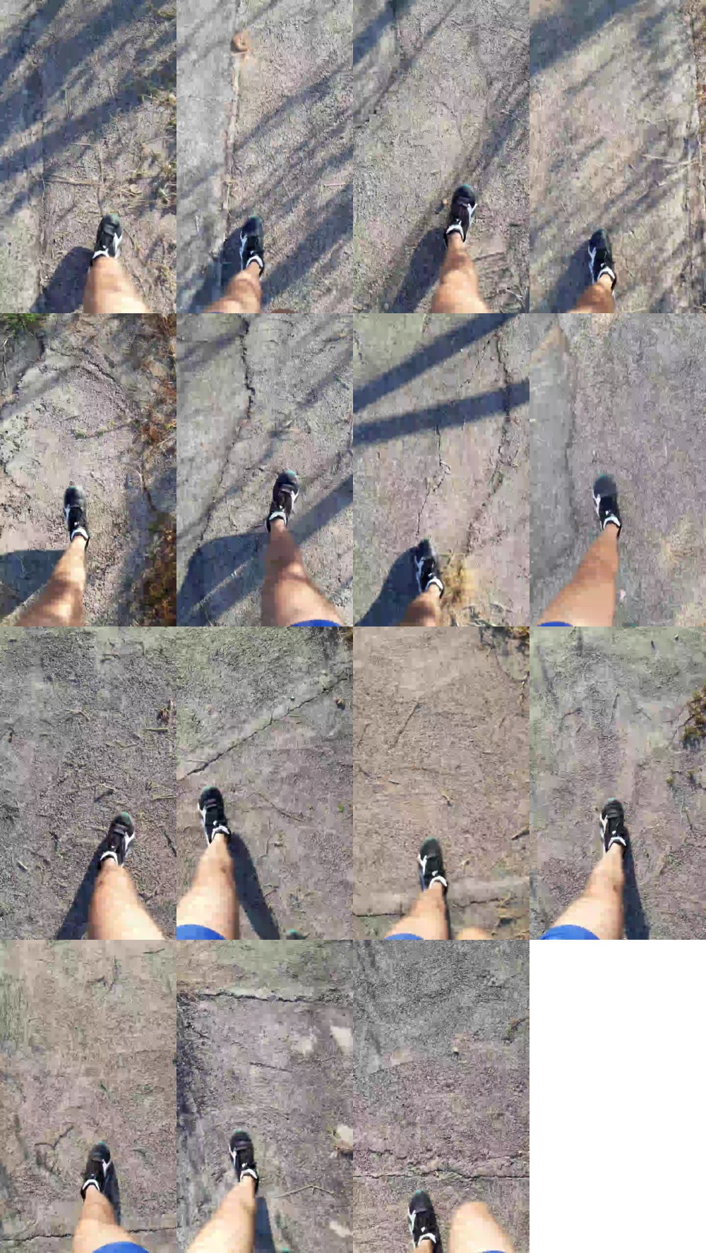 Synbaherrera 11-05-2020  Recorded Video Download