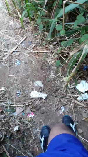 Synbaherrera 11-05-2020  Recorded Video Download
