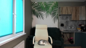 Your_Kat  12-05-2020 Recorded XXX