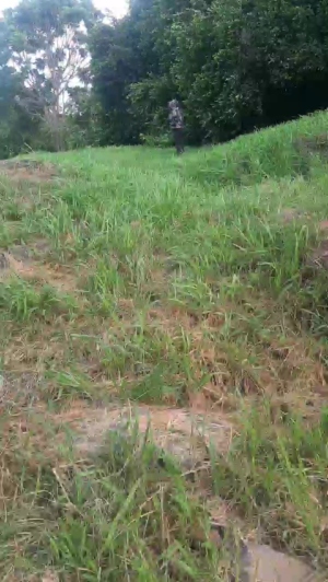 danielacali3  14-05-2020 Recorded Free