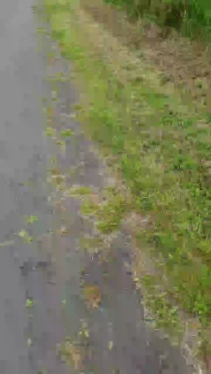 Geil32hb 18-05-2020  Recorded Video XXX