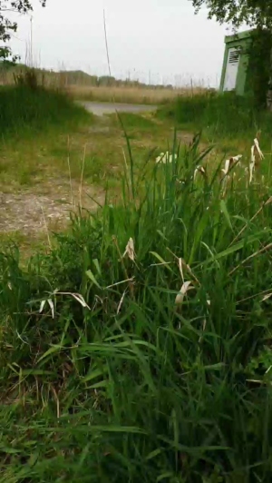 Geil32hb 18-05-2020  Recorded Video Webcam