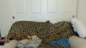 Daddystepdaughter19  21-05-2020 Recorded Download