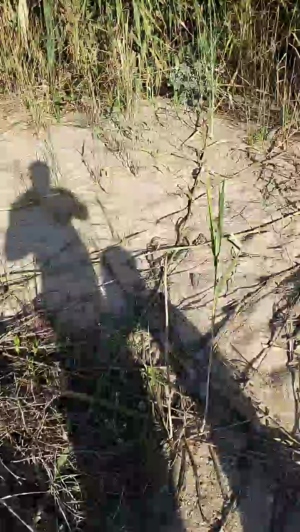 NarcisoGabi 26-05-2020  Recorded Video Nude