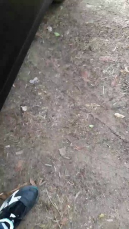 Synbaherrera 02-06-2020  Recorded Video Cam