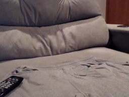 digbreed 08-06-2020  Recorded Video Download