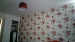 Maskedrob 08-06-2020  Recorded Video XXX