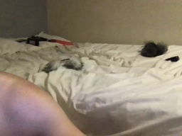 6karma6koyote6  10-06-2020 Recorded Free