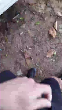Synbaherrera 10-06-2020  Recorded Video Naked