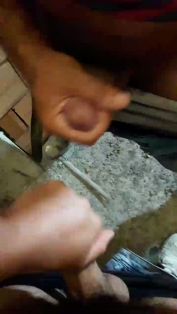 asilreis 13-06-2020  Recorded Video Webcam