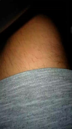 stipe 15-06-2020  Recorded Video Free
