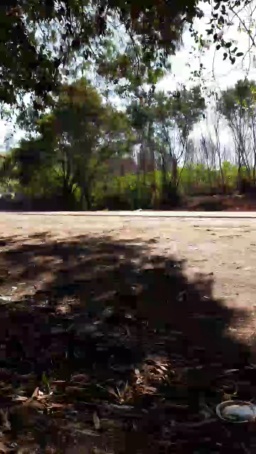 Synbaherrera 16-06-2020  Recorded Video Cam