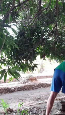 Synbaherrera 17-06-2020  Recorded Video Free