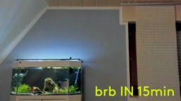 ronhill13 20-06-2020  Recorded Video Porn