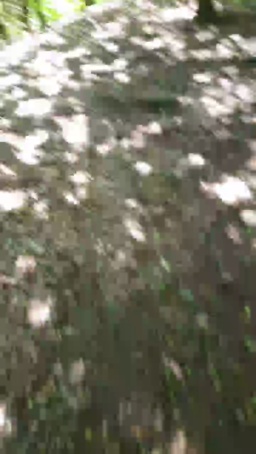 Geil32hb 21-06-2020  Recorded Video Porn