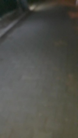 TurkeyHard 21-06-2020  Recorded Video Cam