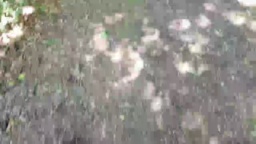 xJANITOSx 23-06-2020  Recorded Video Show