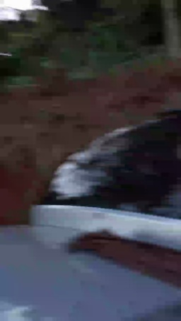 Lobooo19cm 23-06-2020  Recorded Video Cam