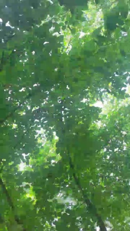 denisa2005  25-06-2020 Recorded Topless