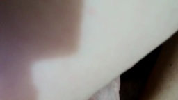 Tinypaulette