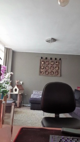 mihaimichael 26-06-2020  Recorded Video Topless
