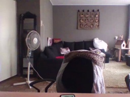 ken_008 29-06-2020  Recorded Video Webcam