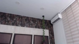 alex_wolf_ 02-07-2020  Recorded Video Download