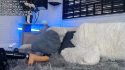 Adrian_Andres 03-07-2020  Recorded Video Webcam