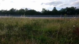 lepamplemous 03-07-2020  Recorded Video Download