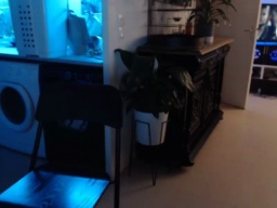 tomsauwer 10-07-2020  Recorded Video Toys