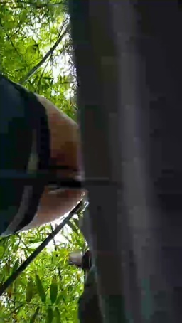 FitStudBlack 10-07-2020  Recorded Video Toys
