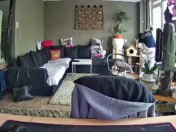 mihaimichael 11-07-2020  Recorded Video Toys