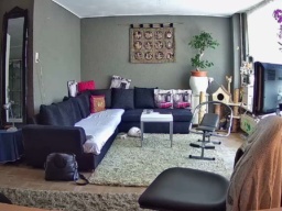 mihaimichael 12-07-2020  Recorded Video XXX