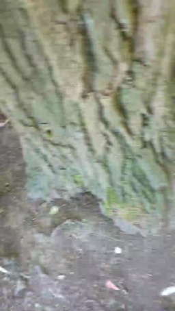 Geil32hb 13-07-2020  Recorded Video Porn
