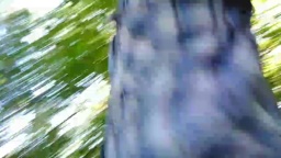 FitStudBlack 19-07-2020  Recorded Video Free