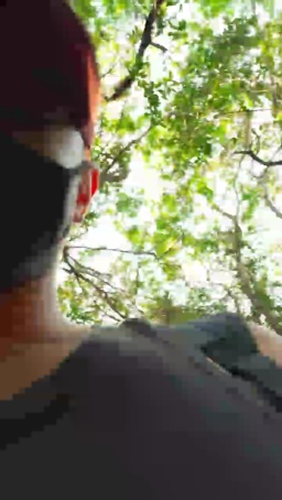 Synbaherrera 19-07-2020  Recorded Video Download