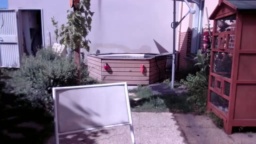 tomsauwer 21-07-2020  Recorded Video Nude