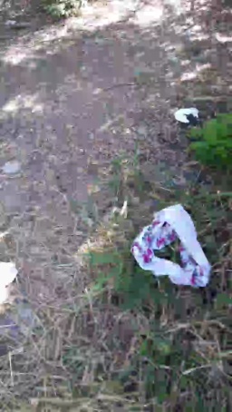 Synbaherrera 22-07-2020  Recorded Video Show