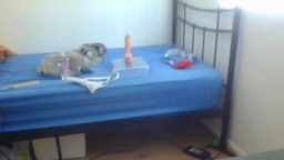 HugeFatAss 22-07-2020  Recorded Video Toys