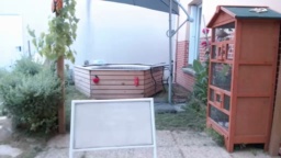 tomsauwer 23-07-2020  Recorded Video Download