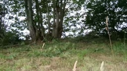 lepamplemous 24-07-2020  Recorded Video Toys