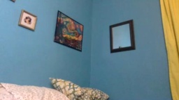 Illegal_Plant  28-07-2020 Recorded Webcam