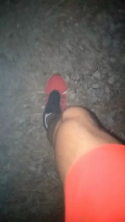 stipe 01-08-2020  Recorded Video Toys