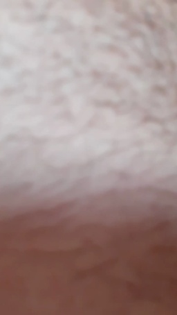 Synbaherrera 01-08-2020  Recorded Video Webcam