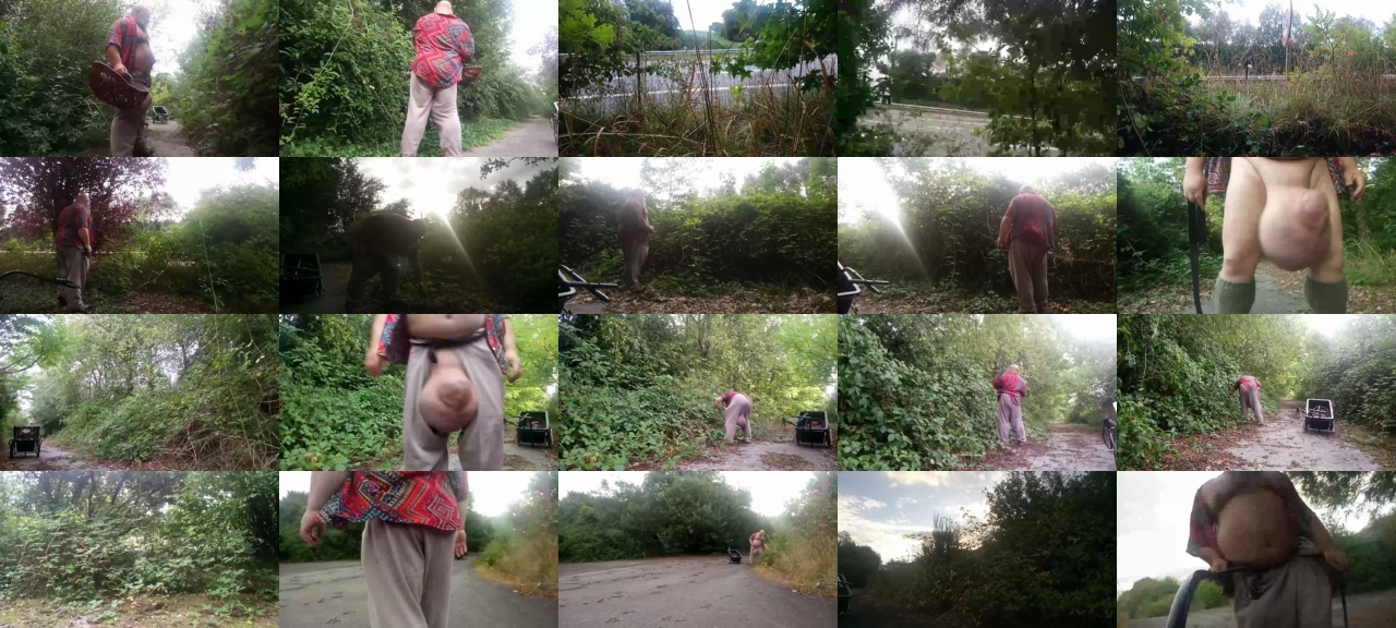 lepamplemous 02-08-2020  Recorded Video Free