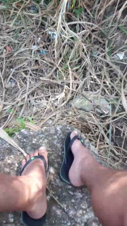 Synbaherrera 03-08-2020  Recorded Video Download