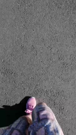 BlueEye_Girl  05-08-2020 Recorded Cam
