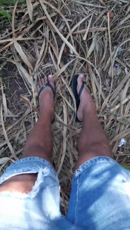 Synbaherrera 05-08-2020  Recorded Video Free