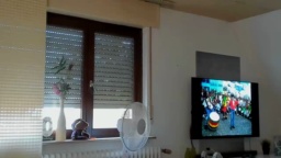 ronhill13 08-08-2020  Recorded Video Topless